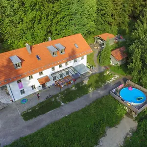 Kreuzbuche - Vie105 Viechtach
